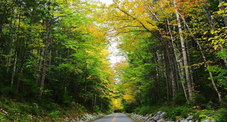 New Hampshire'nın Doğal Kaynakları Nedir?
