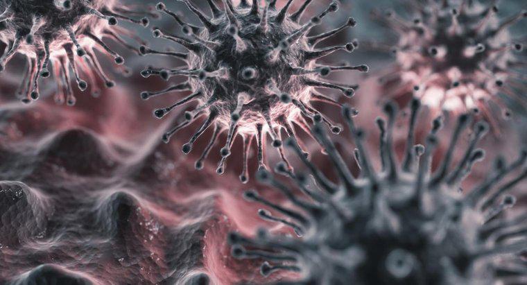 Grip Virüsü için Kuluçka Süresi Nedir?