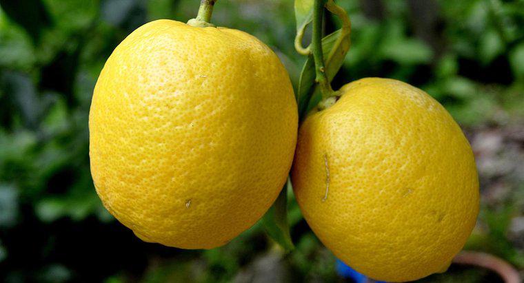 Bir limon ağırlığı ne kadardır?