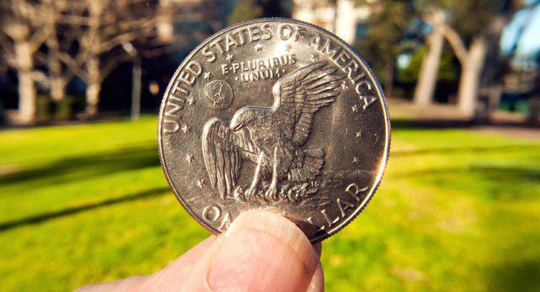1924 Gümüş Doların Değerini Nasıl Bilirsiniz?