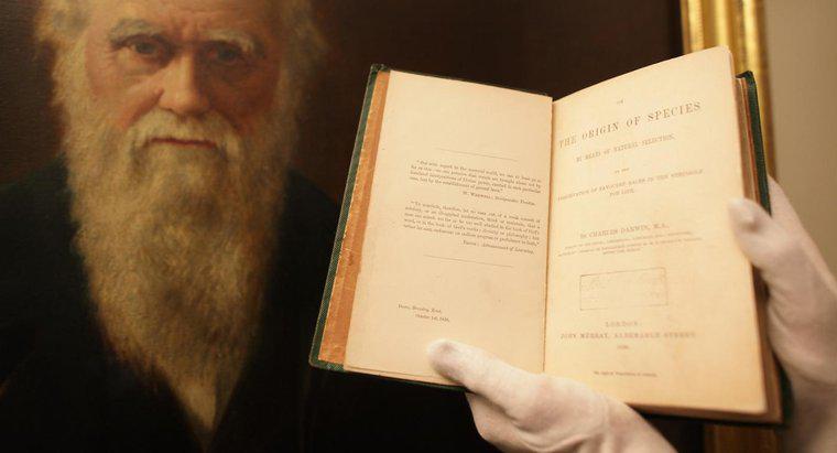 Bazı Charles Darwin Buluşları Nelerdir?