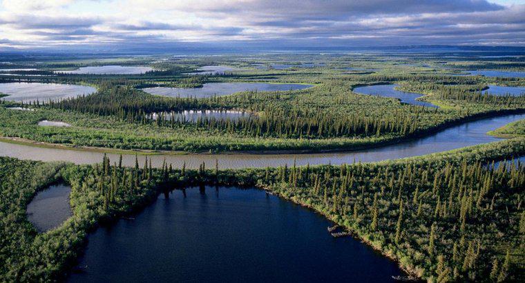 Kanada'daki En Uzun Nehir Nedir?