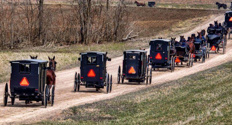 Amish'in Sosyal Güvenlik Numaraları Var mı?