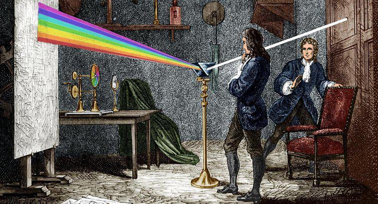 Sir Isaac Newton'un Çocuğu Var mıydı?