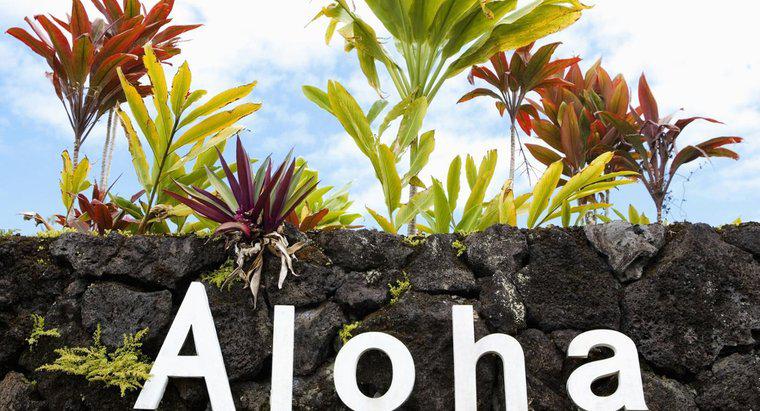 Hawaii alfabesinde kaç harf vardır?