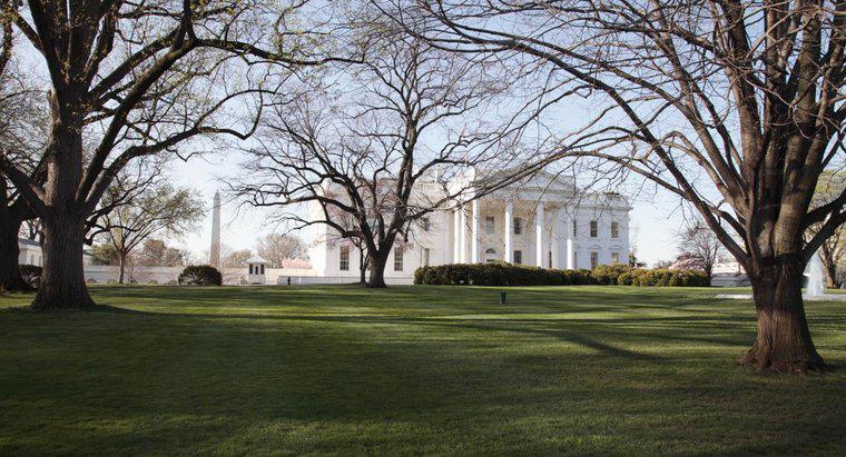 Beyaz Saray'da Hangi Başkanlar Yaşamadı?