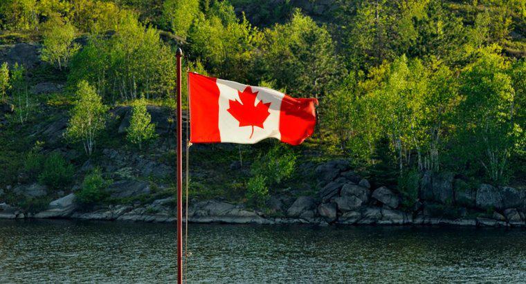 Kanada Kalkanı İklimi Nedir?
