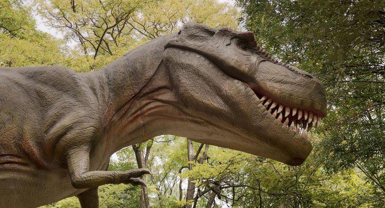 Tyrannosaurus Rex'in En Yakın Akrabası Nedir?