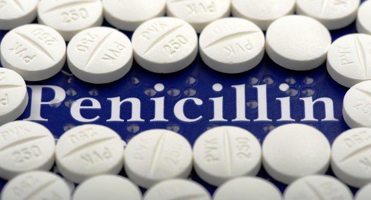 Penisilin Bakteriyel Vajinozu Tedavi Edebilir mi?
