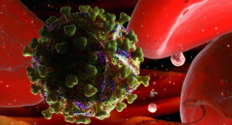 HIV, İnsan Vücudunun Dışında Ne Kadar Dayanır?