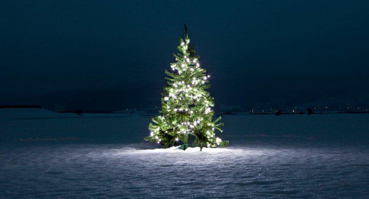 Noel Ağacı Neyi Simgeliyor?