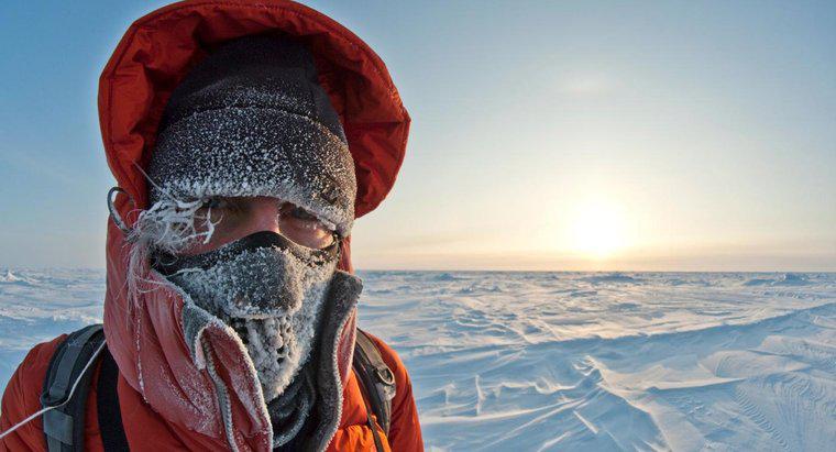 Kuzey Kutbu'ndaki Hava Ne Kadar Soğuk?