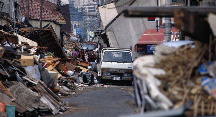 Depremler Biyosferi Nasıl Etkiler?