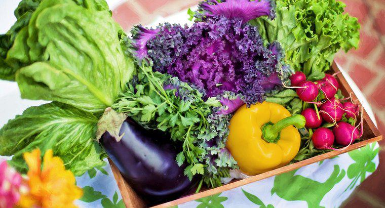 Diyetler ve Sağlık: Bitki Bazlı Diyet