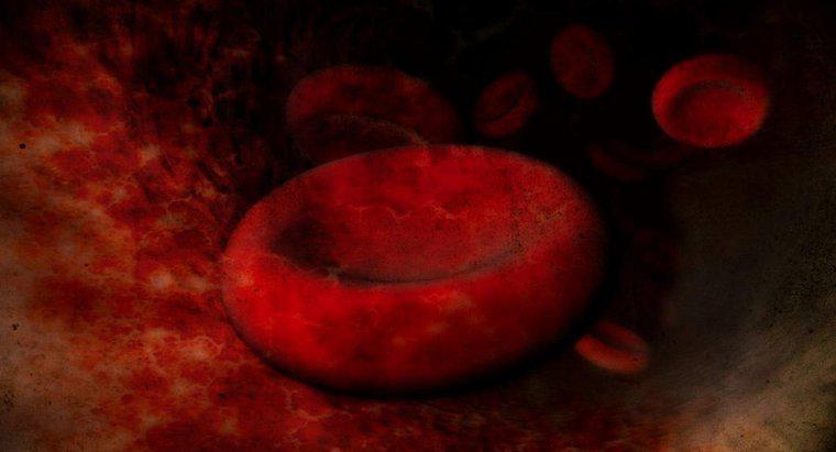 Büyümüş Kırmızı Kan Hücrelerinin Nedeni Nedir?