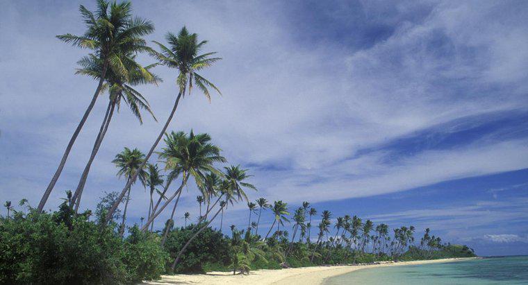 Fiji'nin Bazı Fiziksel Özellikleri Nelerdir?