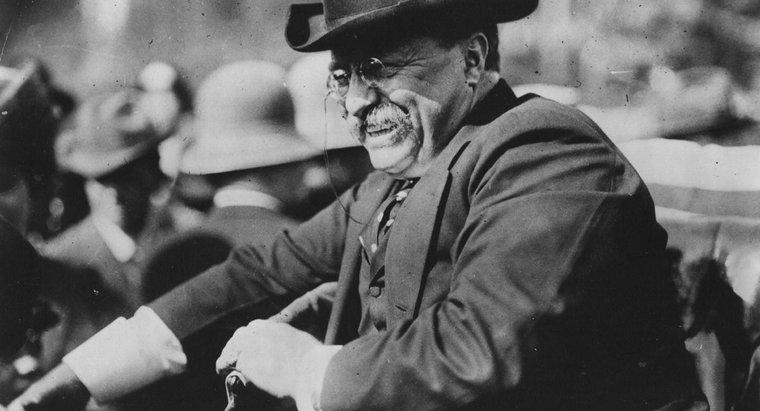 Neden Theodore Roosevelt Nicknam "güven Buster" olarak adlandırıldı?