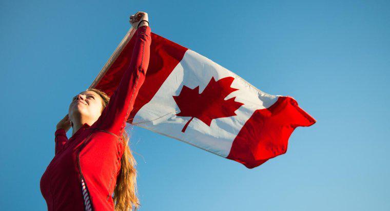 Kanada'nın Ulusal Amblemi Nedir?
