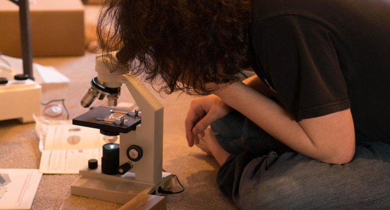 Mikroskopların Bazı Avantaj ve Dezavantajları Nelerdir?