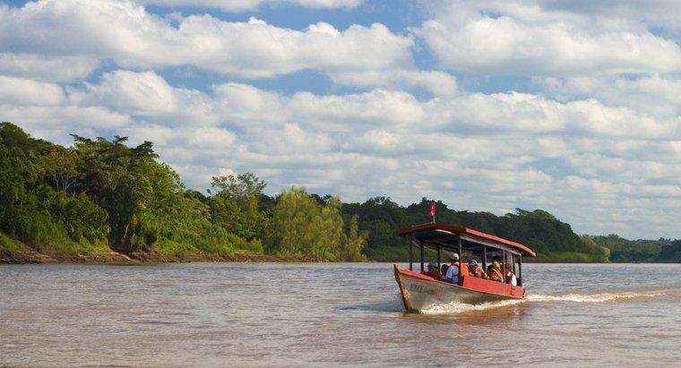 Amazon Nehrinin Kaynağı Nedir?