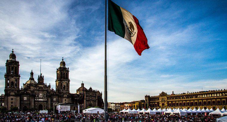 Meksika Bayrağı'nda Hangi Hayvanlar Var?
