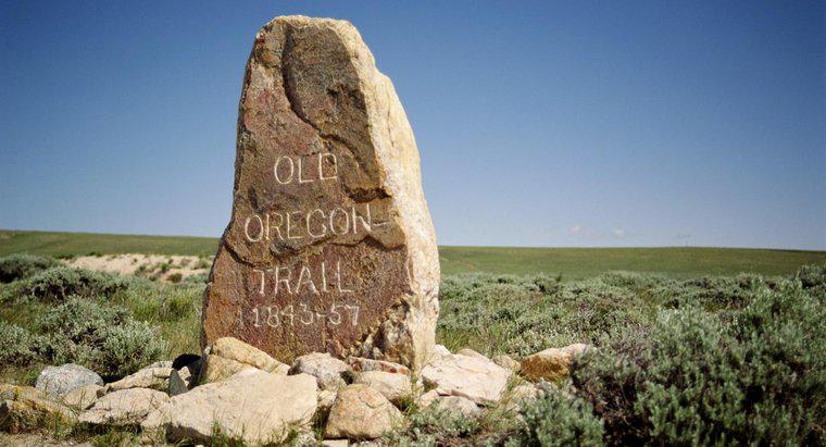 Oregon izinin amacı neydi?