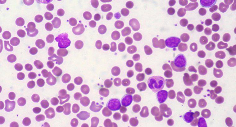 Normal Hemoglobin Sayısı Nedir?