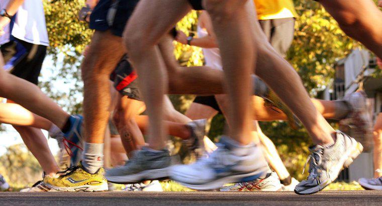 Nüfusun yüzde kaçı bir maraton koşuyor?
