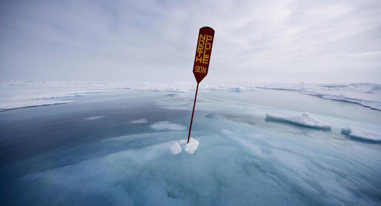 Arktik Okyanusu Hakkında Bazı İlginç Gerçekler Nelerdir?