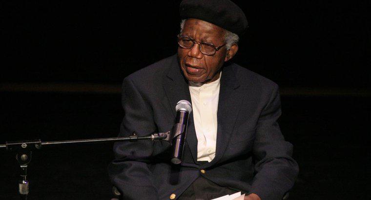 Chinua Achebe Hakkında "Seçmen" Kısa Öykü Nedir?
