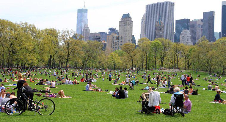 New York'taki Central Park ne kadar büyük?