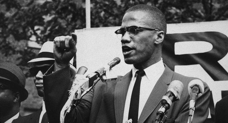 Malcolm X, Ne İçin Savaşmıştı?