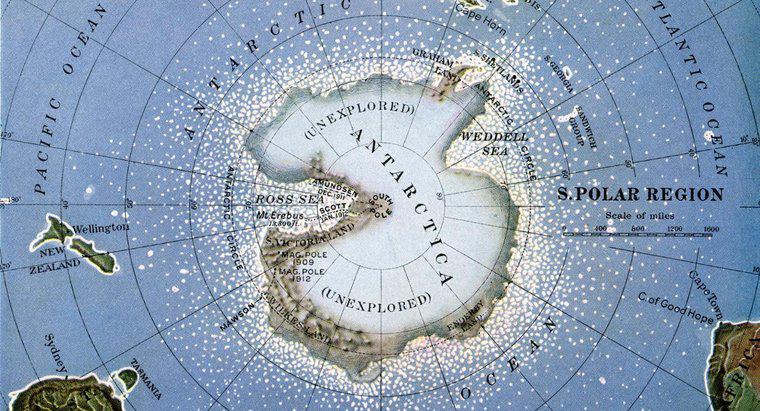 Antarktika'nın Başkenti Nedir?