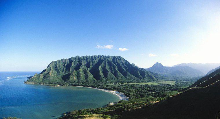 Hawaii elit sahibi ne yapar?