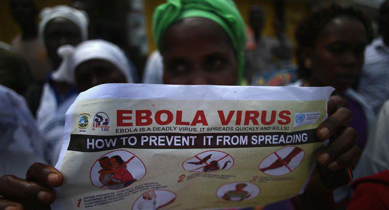 İnsanlar kendilerini Ebola Virüsü Hastalığından Nasıl Koruyabilir?