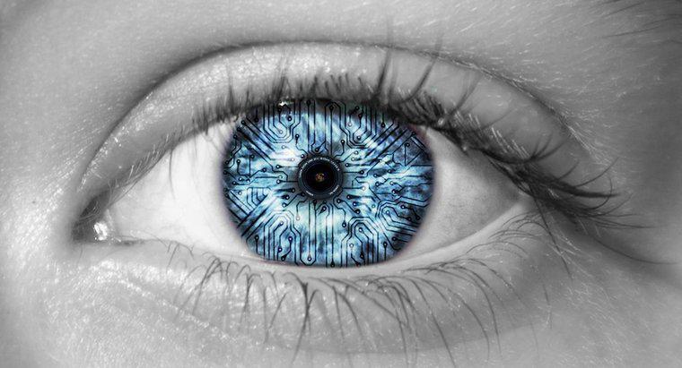 İnsan Gözünün Renkleri Görmesini Ne Sağlar?