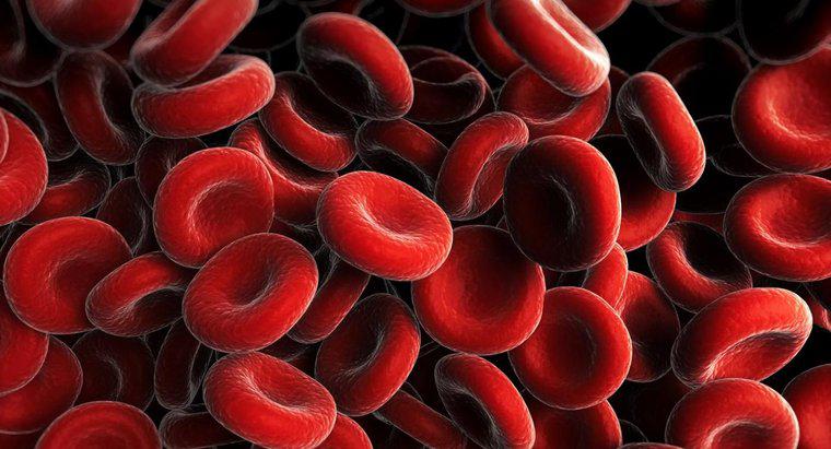 Kırmızı Kan Hücresi Sayınızın Düşük Olmasına Neden Olan Ne?