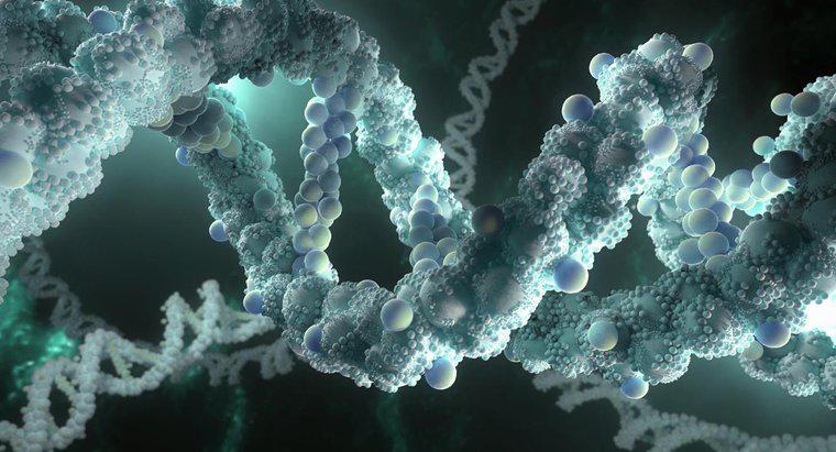 DNA Neden Kendi Kopyalarını Üretebiliyor?
