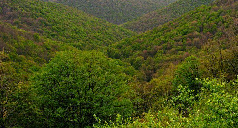Appalachian dağları nerede başlar ve biter?