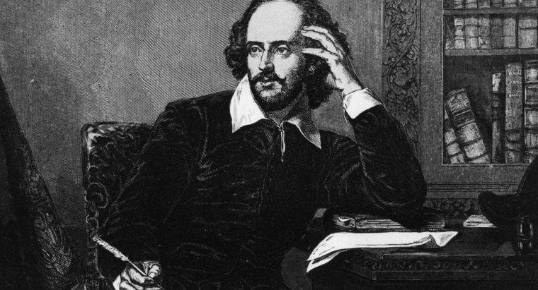 Shakespeare'in Oyunun yanı sıra ne yazdı?
