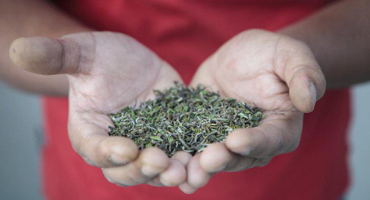 Darjeeling Çayının Sağlık Faydaları Nelerdir?
