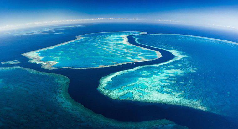 Büyük Set Resifi Ne Kadar Sürer?