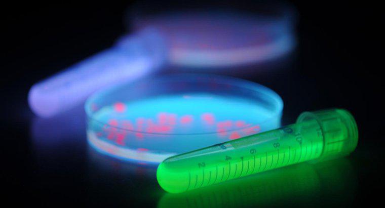 UV Ampulleri Bakteriyel Büyümeyi Nasıl Engeller?