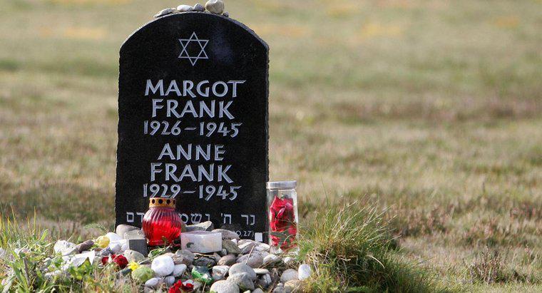 Anne Frank'in Başlıca Başarıları Neydi?
