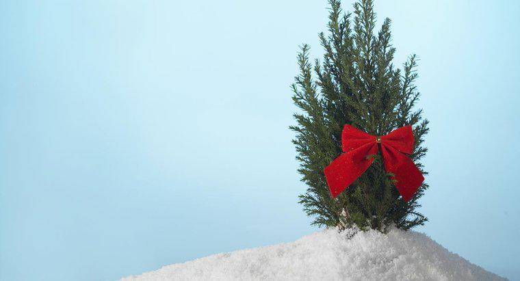 Noel ağacı şerit asmak nasıl?