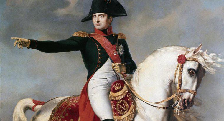 Napolyon Hangi Devrimin Amacına Ulaştı?