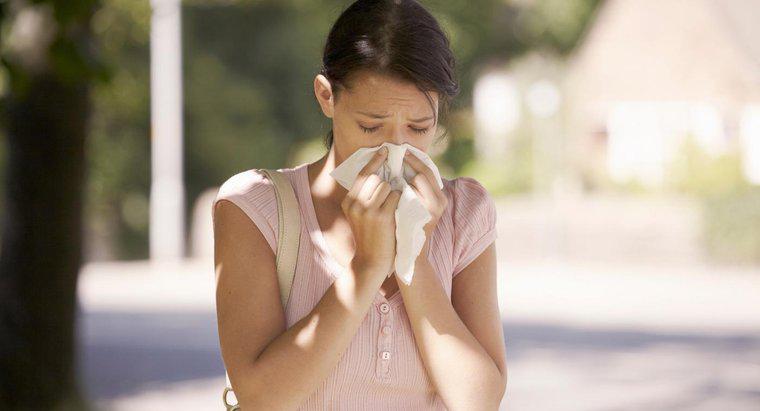 Mevsimsel Alerjiler Başınız Döndürebilir mi?