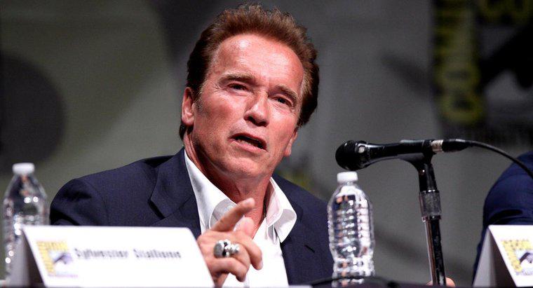 Arnold Schwarzenegger Bench Press ne kadar?
