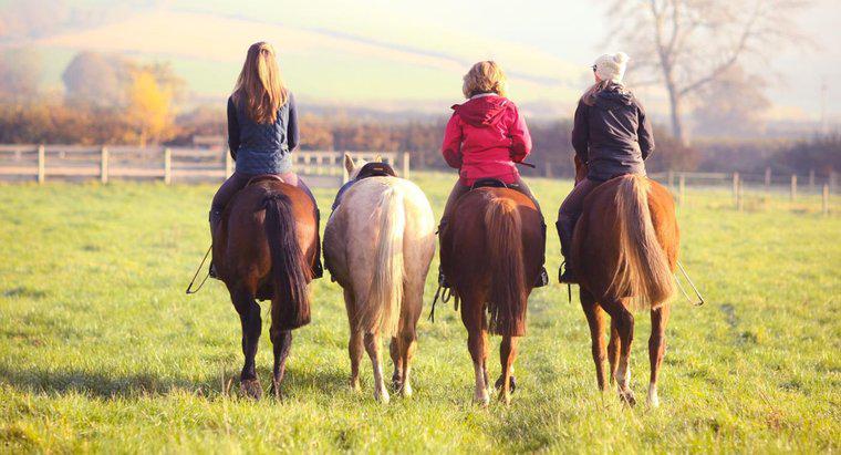 Horseriding ne zaman icat edildi?
