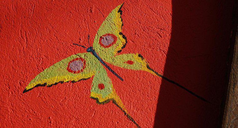 Kelebek Sanatçıları Nedir?